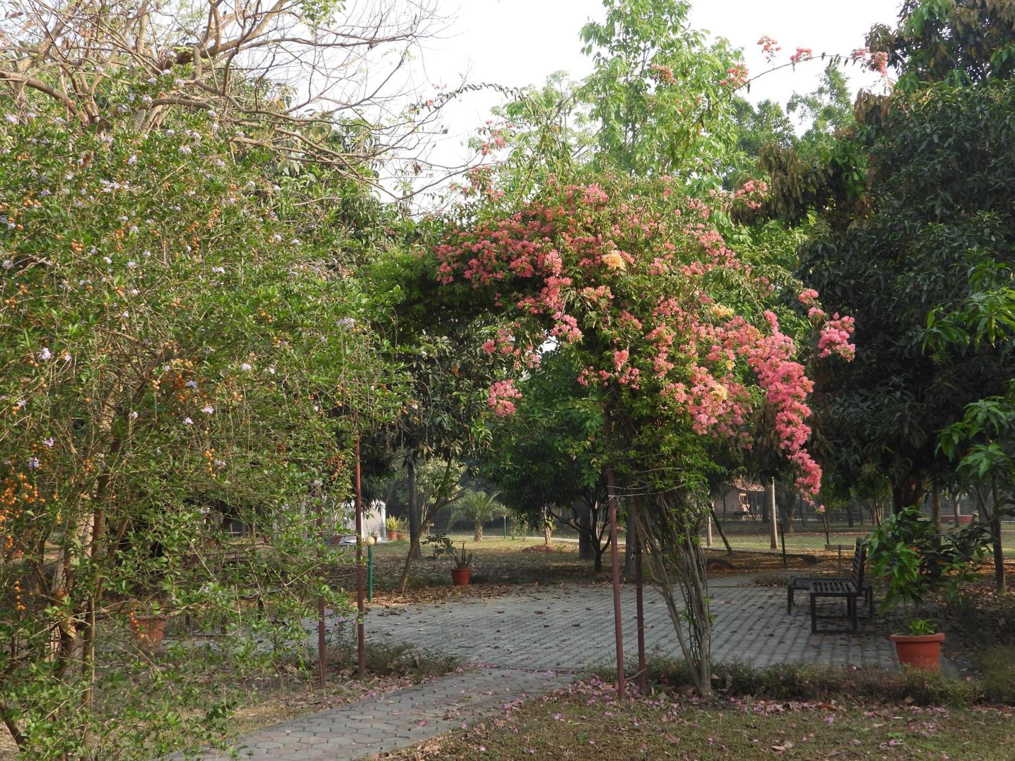 Lumbini Buddha Garden Resort Ngoại thất bức ảnh